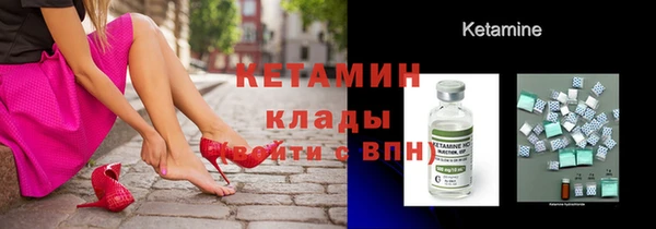 ГАЛЛЮЦИНОГЕННЫЕ ГРИБЫ Дмитриев