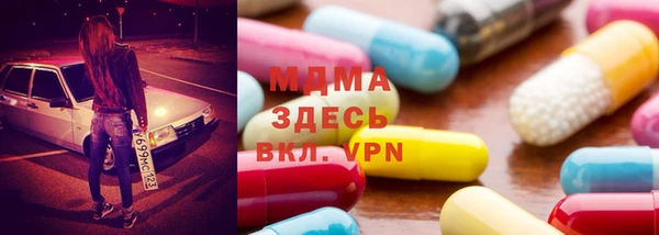 ГАЛЛЮЦИНОГЕННЫЕ ГРИБЫ Дмитриев