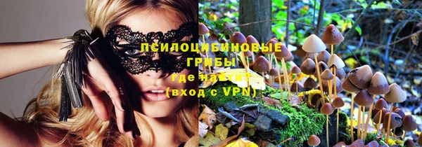ГАЛЛЮЦИНОГЕННЫЕ ГРИБЫ Дмитриев