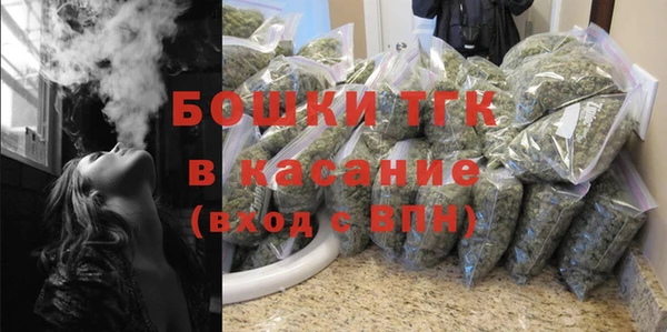 ПСИЛОЦИБИНОВЫЕ ГРИБЫ Дмитров