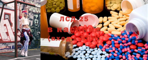 ГАЛЛЮЦИНОГЕННЫЕ ГРИБЫ Дмитриев