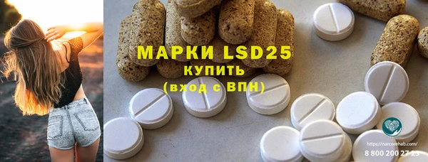 ГАЛЛЮЦИНОГЕННЫЕ ГРИБЫ Дмитриев