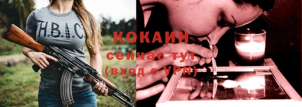 ПСИЛОЦИБИНОВЫЕ ГРИБЫ Дмитров