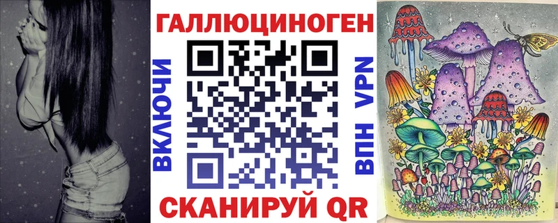 Псилоцибиновые грибы Psilocybine cubensis Светлогорск