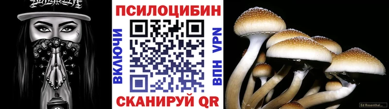 Купить  Светлогорск  Псилоцибиновые грибы прущие грибы 