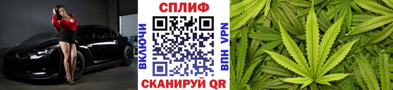 Конопля THC 21%  Купить где  Светлогорск 